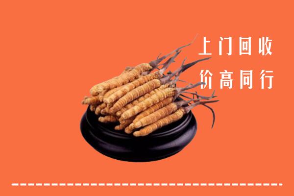 高价求购：大庆市萨尔图回收散虫草