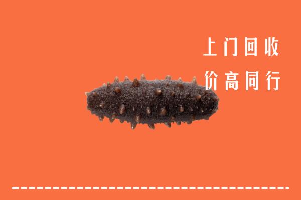 高价求购：大庆市萨尔图回收海参
