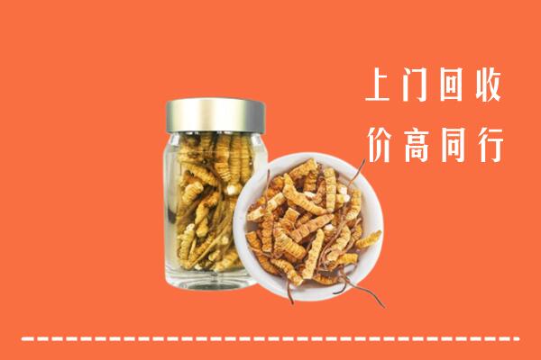 大庆市萨尔图高价回收冬虫夏草